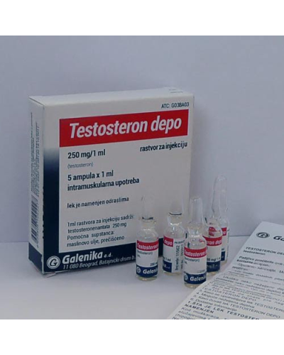 Galenika Testosterone Enanthate 250 mg/ml (5 amp/box original pack)