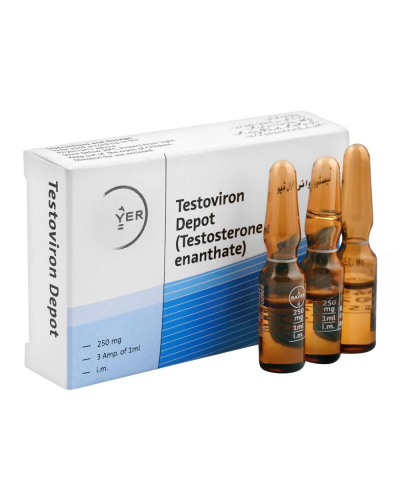 Bayer Testoviron Depot Testosterone Enanthate 250 mg/ml (3 amp/box original pack)
