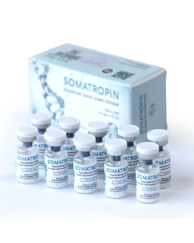 BM Pharmaceuticals Somatropin  rHGH 100IU box