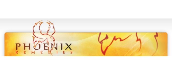 Phoenix Remedies Testo Inject Testosterone Enanthate 375mg